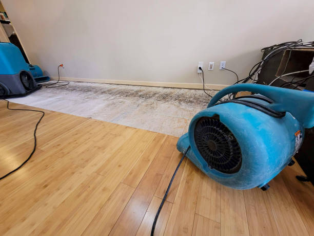 Professional Water Removal technician working in North Kingsville, OH